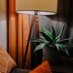 Simple Ways to Create a Cozy and Inviting Home Environment